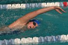 Swimming vs Babson  Wheaton College Swimming vs Babson College. - Photo By: KEITH NORDSTROM : Wheaton, Swimming, Babson